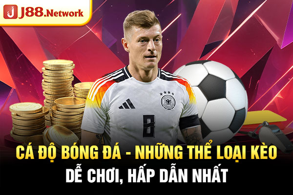 Cá Độ Bóng Đá – Những Thể Loại Kèo Dễ Chơi, Hấp Dẫn Nhất