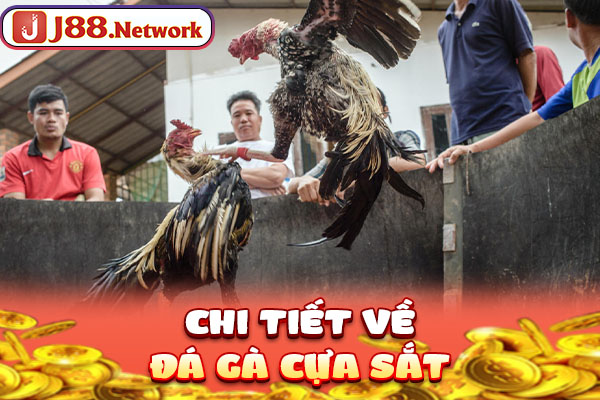 Chi tiết về đá gà cựa sắt